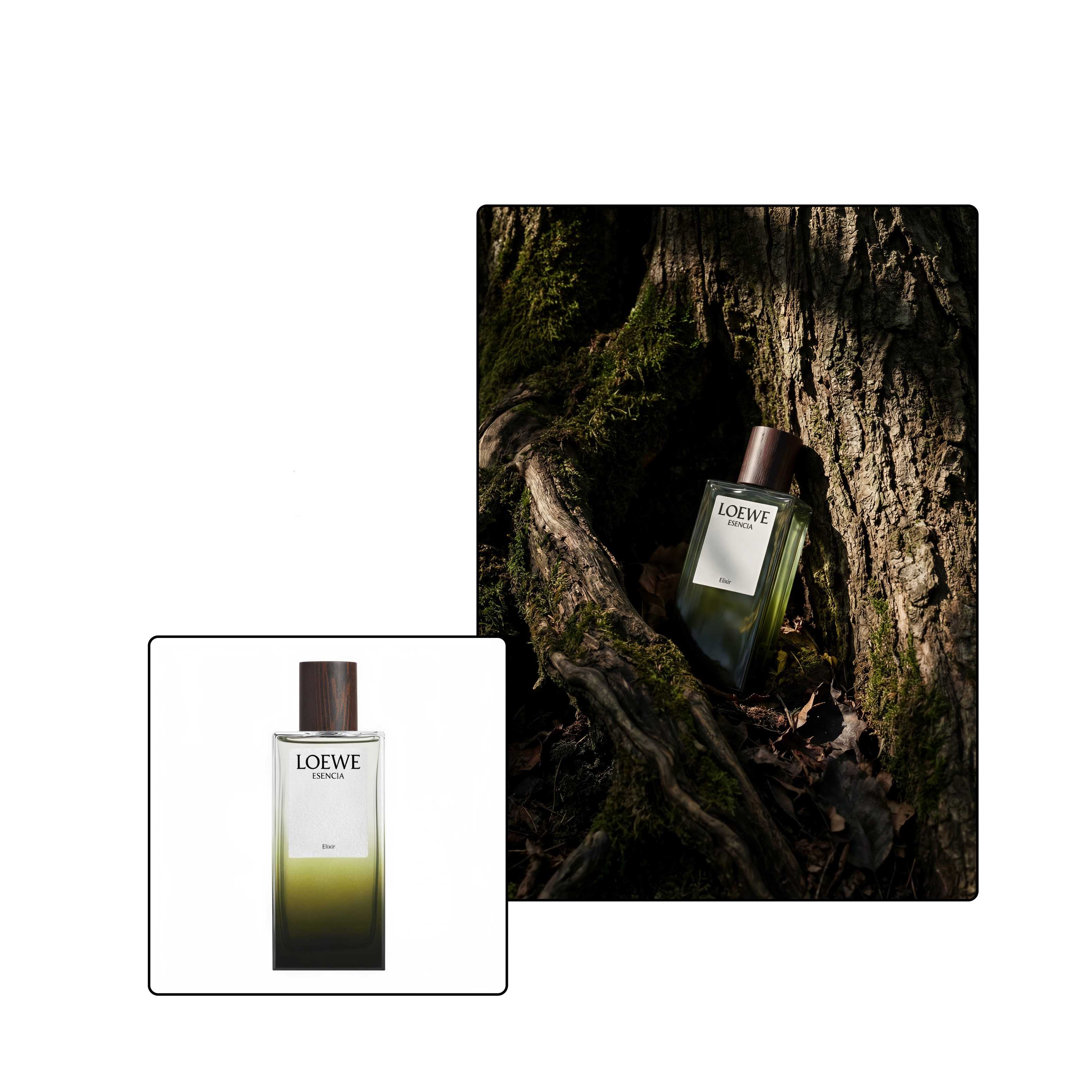 AI product photography lifestyle shot of a bottle on a rock